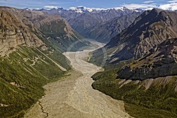 Peavine in Wrangell–St. Elias National Park