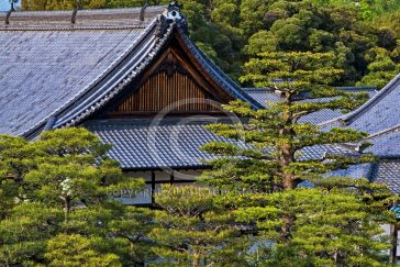 Nijo Castle Kyoto