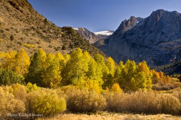 Fall colors near June Lake, California