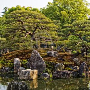 Japanese Garden Photo in Kyoto