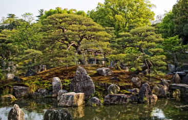 Japanese Garden Photo in Kyoto