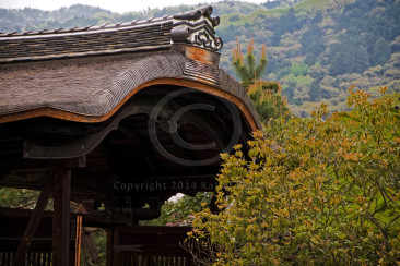 Konchi-In Temple Kyoto