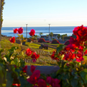 Coastal Farm at Cardiff by the Sea, CA