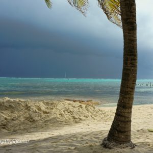 Tropical storm from the beach on Ambergris Caye, Belize