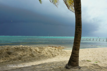 Tropical storm from the beach on Ambergris Caye, Belize