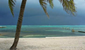 Tropical Turquoise Waters off Ambergris Caye, Belize