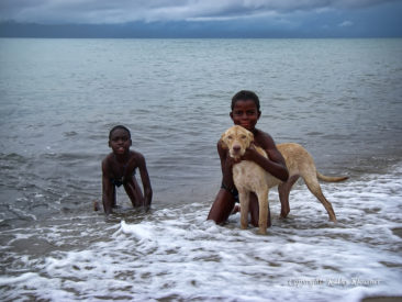 Boys and their dog in the ocean in Belize