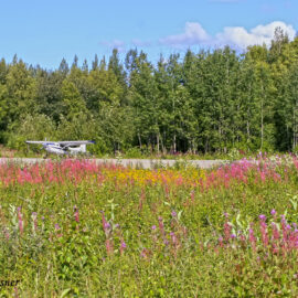 Airplane on flower landing strip in Alaska